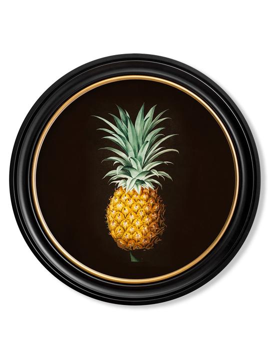 Pineapple Black Background